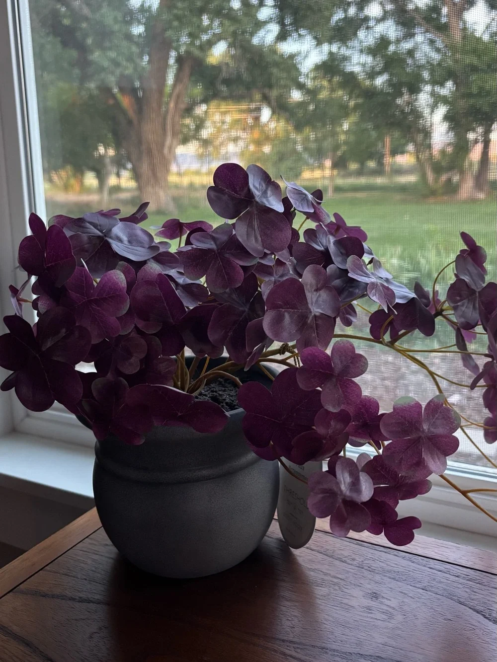 Threshold Deep Purple Oxalis Faux Plant in Black Ceramic Pot NWT